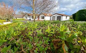 Lecale Bliss